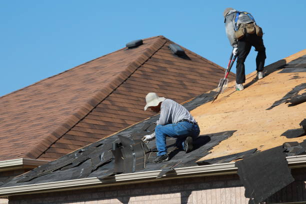 Best Roofing for New Construction  in Sleepy Hollow, IL
